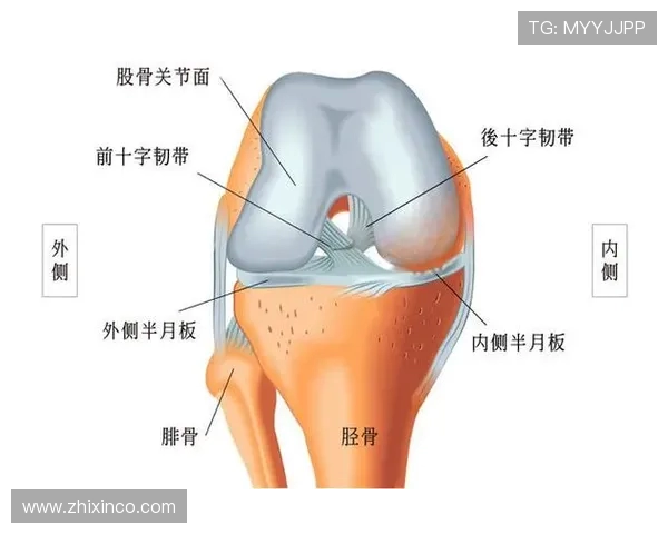 奥格斯堡队长古韦利乌右膝内侧韧带撕裂缺阵数周 奥格斯堡队长古韦利乌右膝内侧韧带撕裂缺阵数周